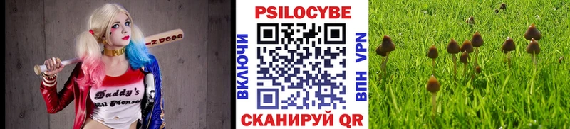 закладка  Минеральные Воды  мега онион  Галлюциногенные грибы мицелий 